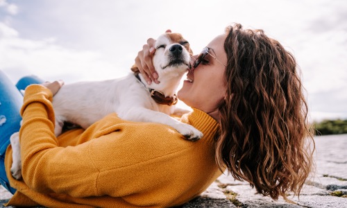 Local Pet Shops	 Cover Image